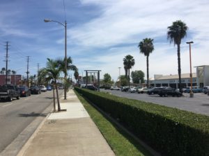 IMG_1080